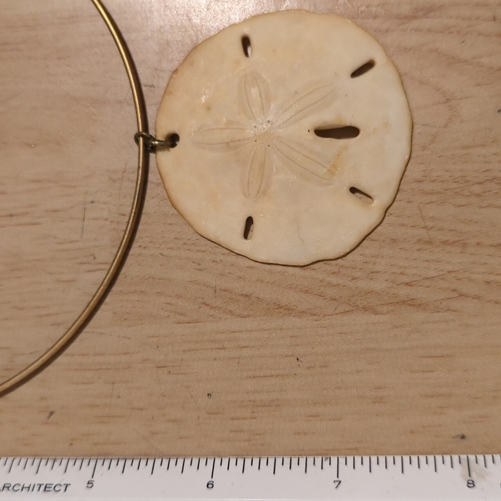 Unique Vintage Sand Dollar Choker - Picture 5 of 5